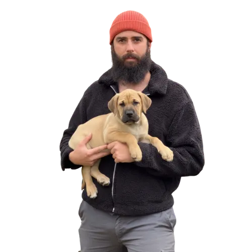 Manuel Curtó Jr. con un cachorro de Presa Canario en brazos